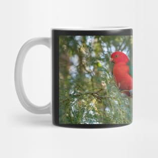 Male King Parrot, Queensland Australia Mug